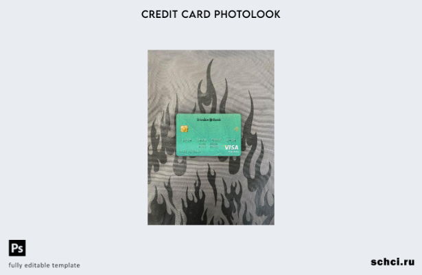 цифровая загрузка Нидерланды Triodos Bank Visa Electronic карта фотообраз передн